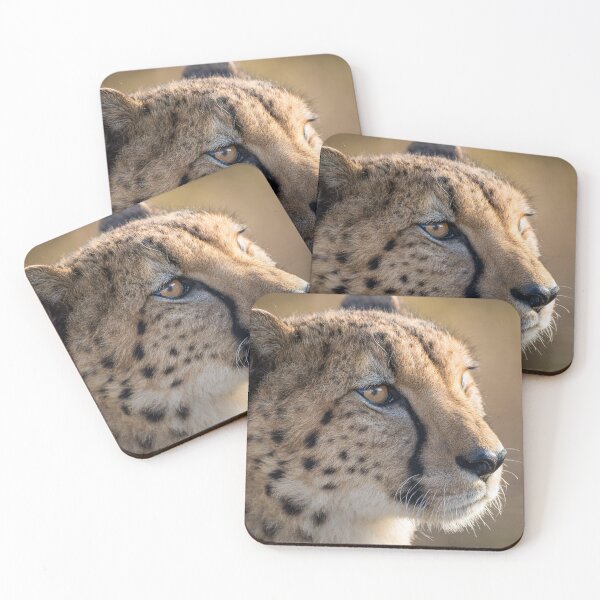 Item preview, Majestic cheetah profile in golden light designed and sold by shabeel.