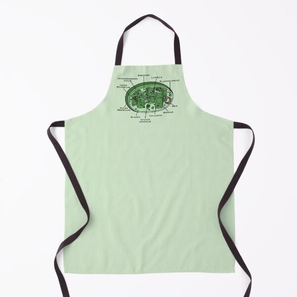 Item preview, Chloroplast Diagram designed and sold by BundaBear.
