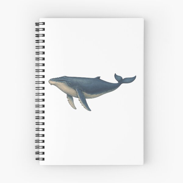 Item preview, Humpback Whale designed and sold by PapermintCreate.