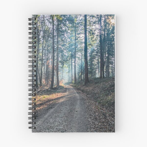 Item preview, A quiet forest path in the soft morning light designed and sold by AchimKos.
