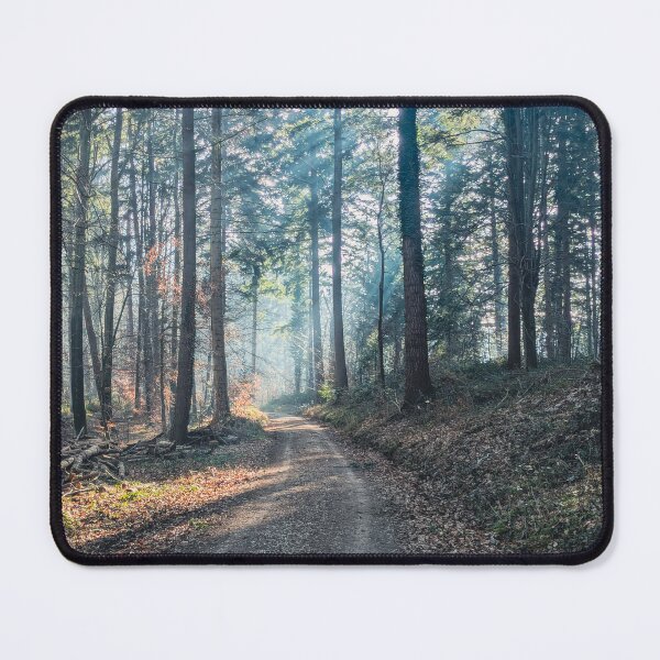 Item preview, A quiet forest path in the soft morning light designed and sold by AchimKos.