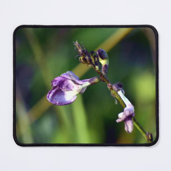 Item preview, Purple Wildflower in Focus designed and sold by MercerImages.