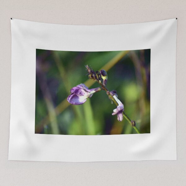 Item preview, Purple Wildflower in Focus designed and sold by MercerImages.