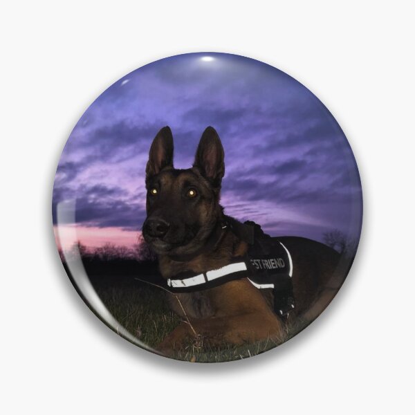 Item preview, Beauty of Belgian Malinois designed and sold by NoxLand.