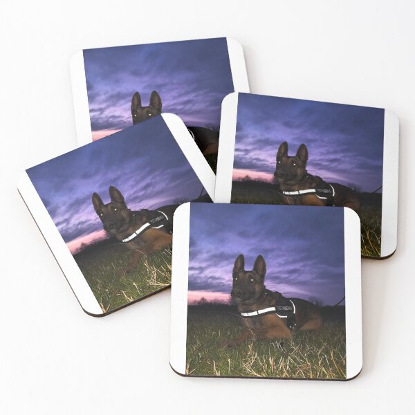 Item preview, Beauty of Belgian Malinois designed and sold by NoxLand.