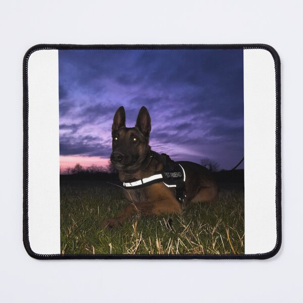 Item preview, Beauty of Belgian Malinois designed and sold by NoxLand.