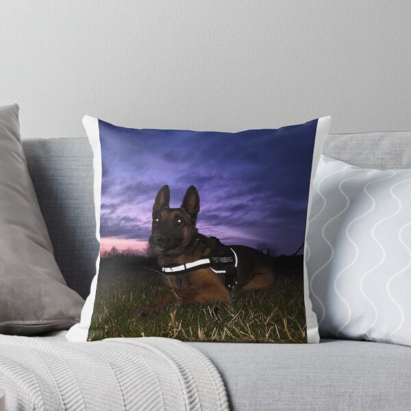 Item preview, Beauty of Belgian Malinois designed and sold by NoxLand.