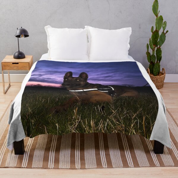 Item preview, Beauty of Belgian Malinois designed and sold by NoxLand.