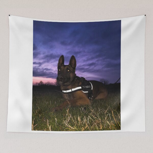 Item preview, Beauty of Belgian Malinois designed and sold by NoxLand.