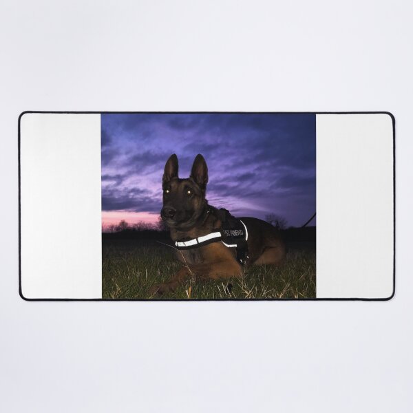 Item preview, Beauty of Belgian Malinois designed and sold by NoxLand.