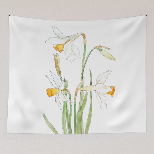 Item preview, 3 white daffodil flower watercolor and ink designed and sold by SelenePaintings .