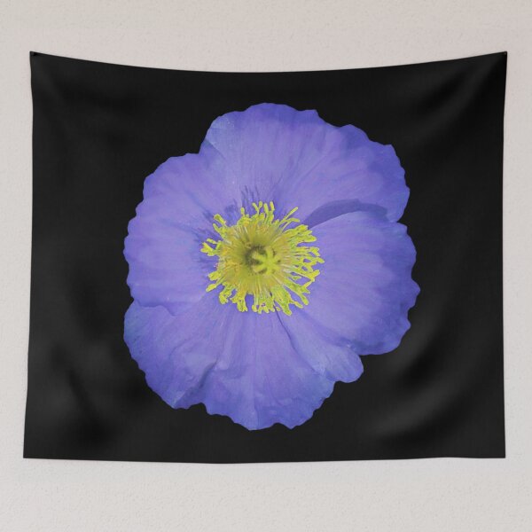 Item preview, Midnight's Blue Poppy designed and sold by RuthFurtado.