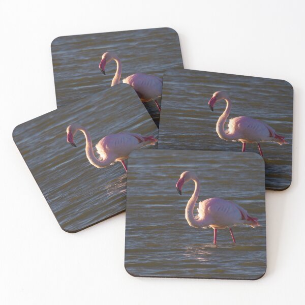 Item preview, Focused Flamingo designed and sold by Ralph Goldsmith.