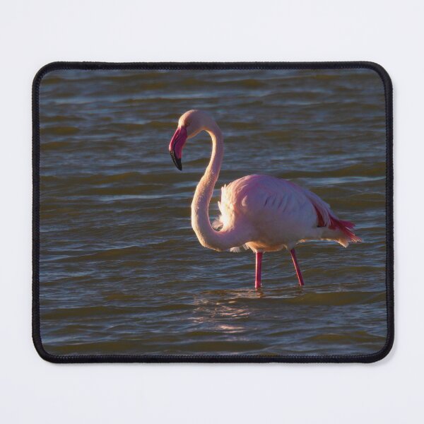 Item preview, Focused Flamingo designed and sold by Ralph Goldsmith.