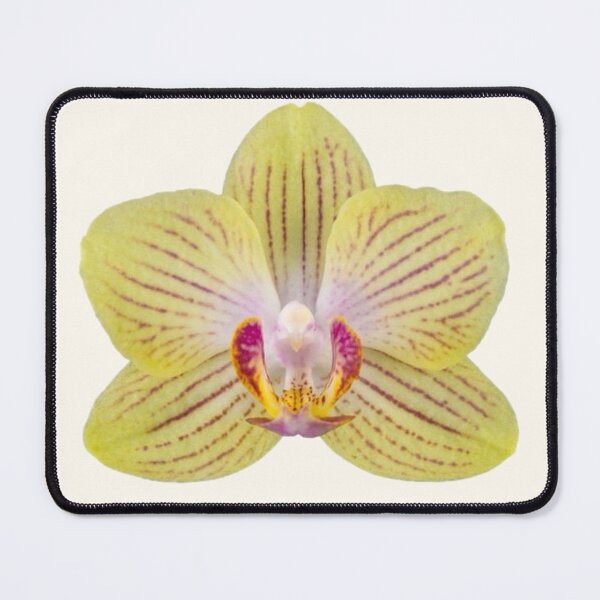 Item preview, yellow striped orchid flower sticker designed and sold by inainart.