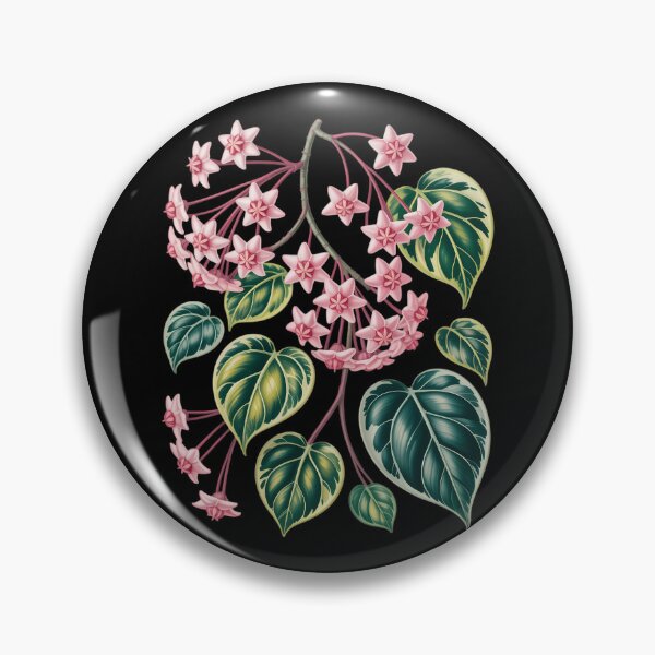Item preview, Botanical Hoya Carnosa Flower Anatomy Houseplant Plant Lover designed and sold by comptorasunfia.