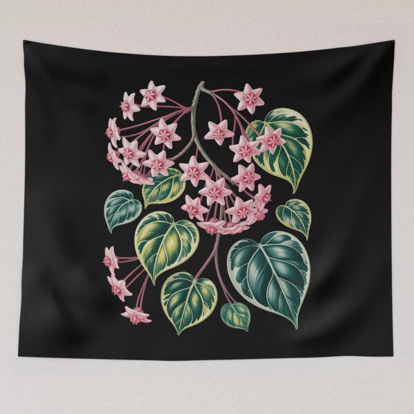 Item preview, Botanical Hoya Carnosa Flower Anatomy Houseplant Plant Lover designed and sold by comptorasunfia.