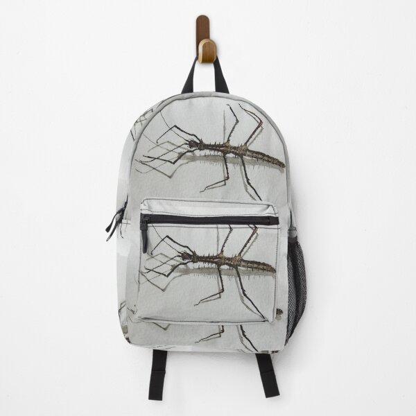 Item preview, Stick insect designed and sold by Anke Haisch.