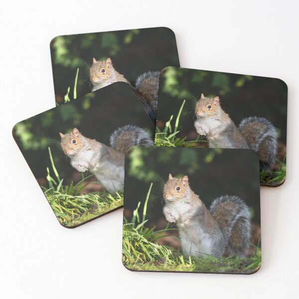 Item preview, Woodland Explorer: Grey Squirrel Wildlife Photography designed and sold by Karen Dore Art & Photography.