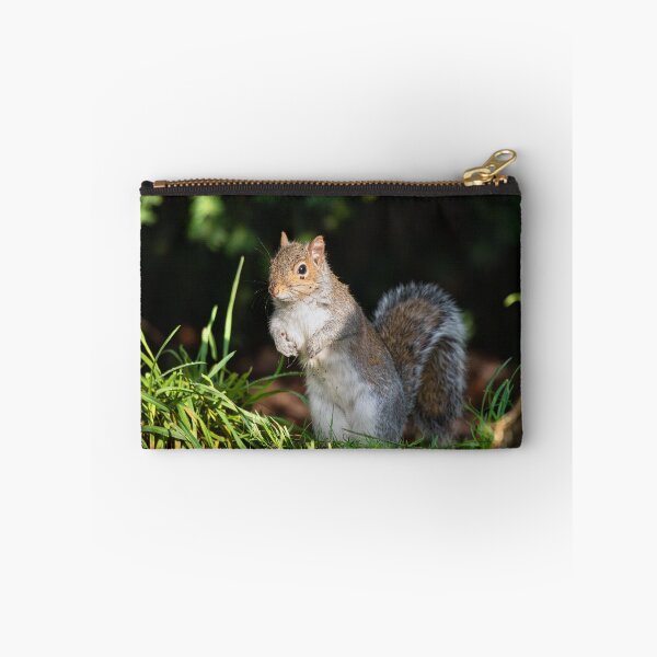 Item preview, Woodland Explorer: Grey Squirrel Wildlife Photography designed and sold by Karen Dore Art & Photography.