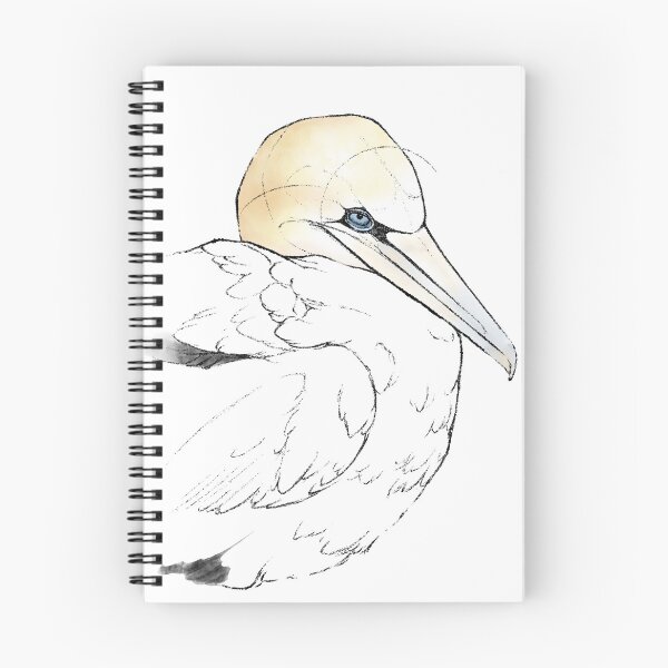 Item preview, Gannet resting, seabird art designed and sold by Moana Matron Designs.