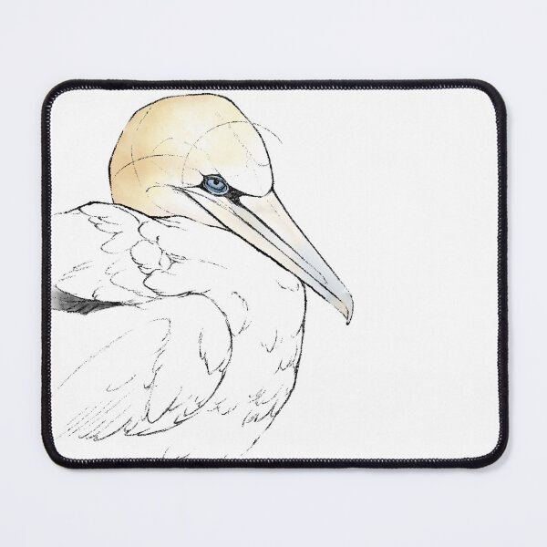 Item preview, Gannet resting, seabird art designed and sold by Moana Matron Designs.