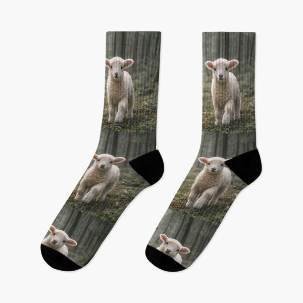 Item preview, The Good Shepherd, Seeking the Lost Lamb designed and sold by Paul Thompson Photography.