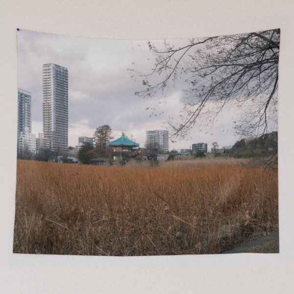 Item preview, Shinobazu Pond and Bentendō Temple Against Tokyo’s Urban Skyline designed and sold by Pix4Japan.