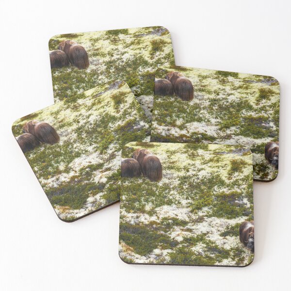 Item preview, Dovrefjell Musx Oxen designed and sold by DiFigianoPhoto.