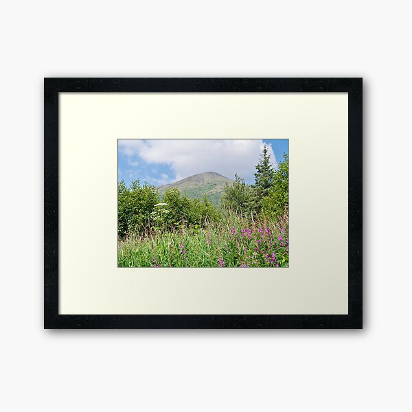 Chugach State Park Framed Art Print