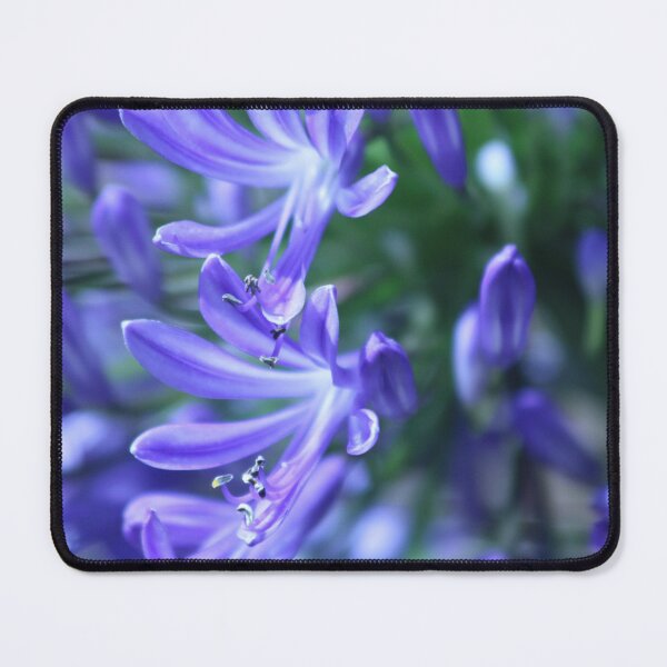 Item preview, Open Purple Alliums designed and sold by kdlang79.