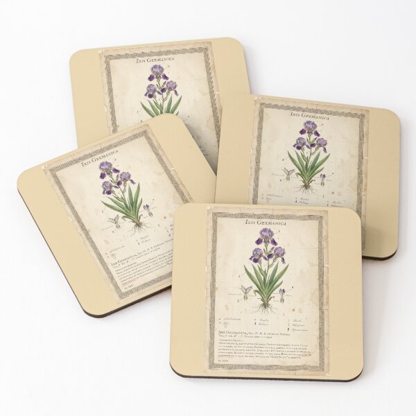Item preview, Vintage Iris Germanica Botanical Print designed and sold by Jeeklsdotcom.