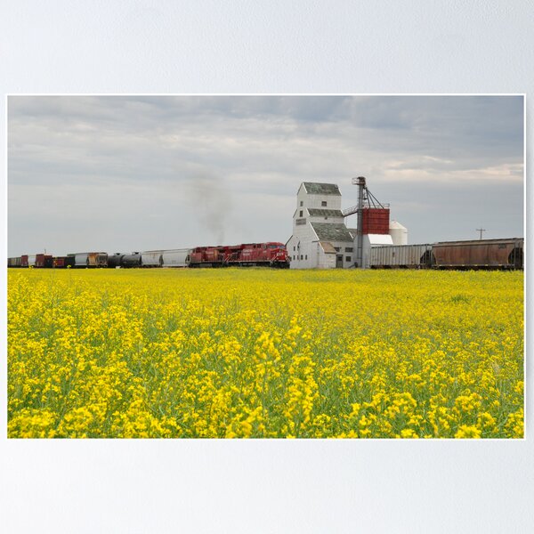Item preview, Canola, Trains and Things  designed and sold by Judy Ann  Grant.