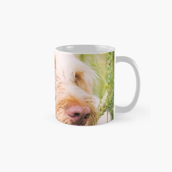 I look for you in every crowd Spinone Classic Mug