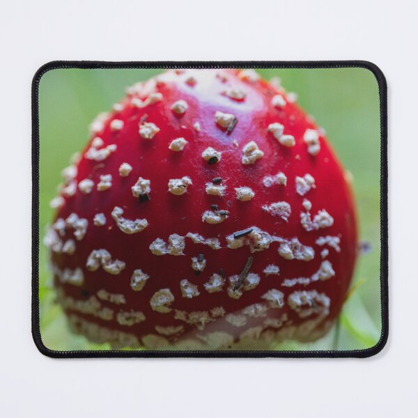 Item preview, Fly agaric mushroom among grass designed and sold by Imagerisium.