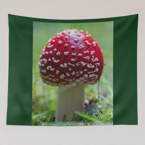 Item preview, Fly agaric mushroom among grass designed and sold by Imagerisium.