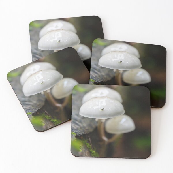Item preview, Porcelain fungus on beech wood designed and sold by Imagerisium.