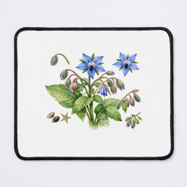 Item preview, Watercolor Borage Herb Flowers and Leaves designed and sold by silviaol.