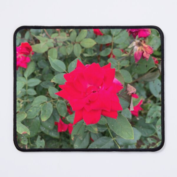 Item preview, Blooming red designed and sold by Harmonyfellowship23.