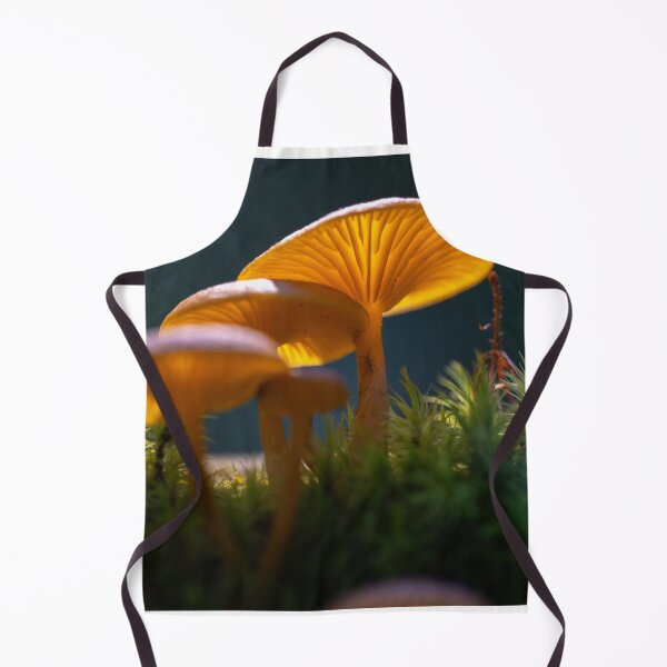 Item preview, Sunlit orange mushrooms in forest designed and sold by Imagerisium.
