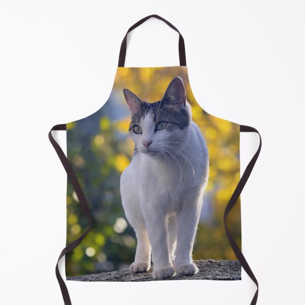 Item preview, Elegant Cat in Autumn Light – Calm Aesthetic Cat Design designed and sold by MB-CatPrints.