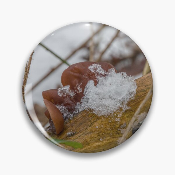 Item preview, Frozen Wood Ear Mushroom in Winter designed and sold by ShotsbyDesiree.