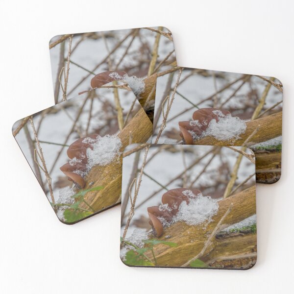 Item preview, Frozen Wood Ear Mushroom in Winter designed and sold by ShotsbyDesiree.