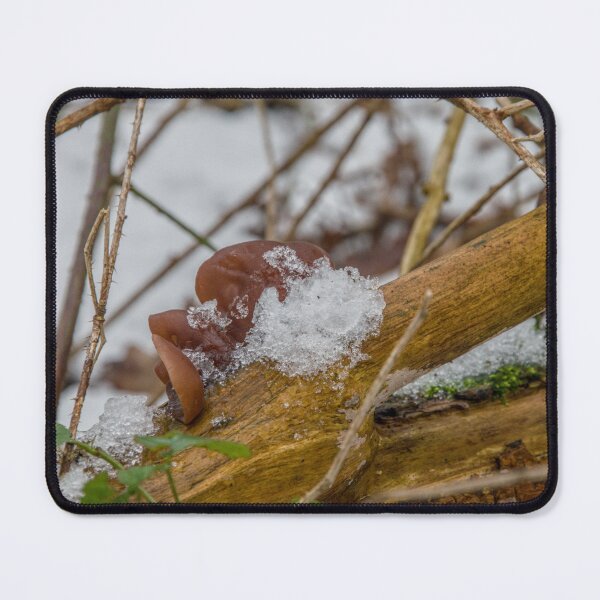 Item preview, Frozen Wood Ear Mushroom in Winter designed and sold by ShotsbyDesiree.