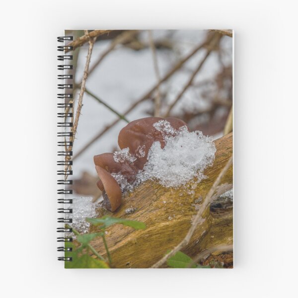 Item preview, Frozen Wood Ear Mushroom in Winter designed and sold by ShotsbyDesiree.