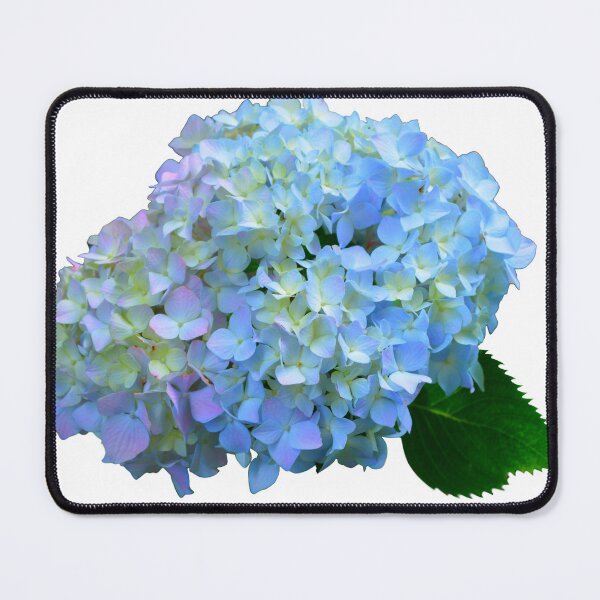 Item preview, Romantic cottage floral | Blue, purple, pink hydrangeas | cotton Candy colors designed and sold by hollycooper.