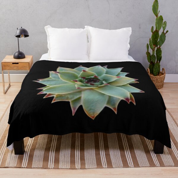 Item preview, Foto de suculenta verde cactus verde designed and sold by hollycooper.