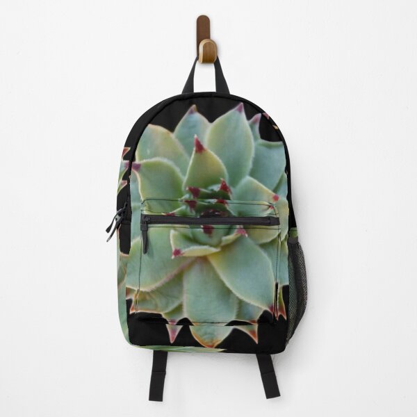 Item preview, Foto de suculenta verde cactus verde designed and sold by hollycooper.