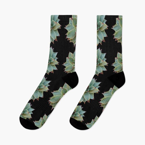 Item preview, Foto de suculenta verde cactus verde designed and sold by hollycooper.