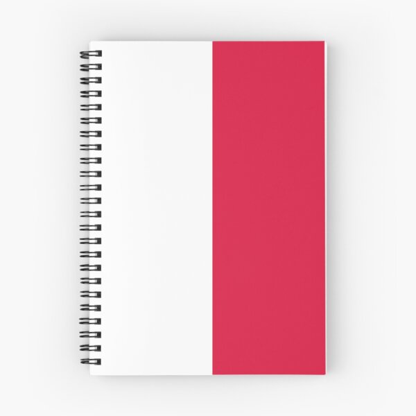 Aperçu de l'œuvre Conception verticale du drapeau polonais créée et vendue par NTGUILTY.